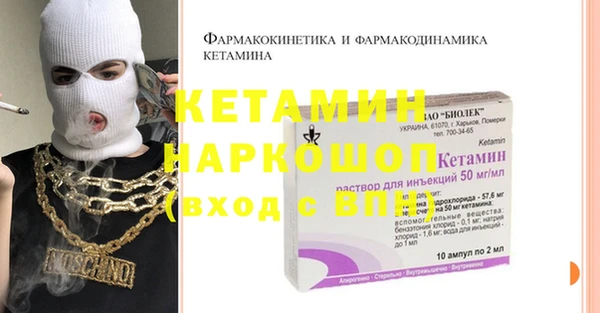 стаф Богданович