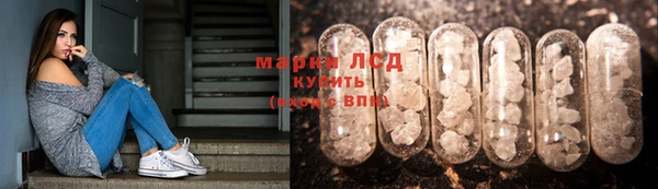 стаф Богданович