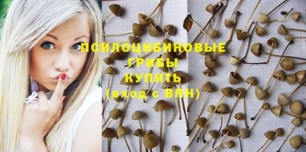 МДПВ Богородск