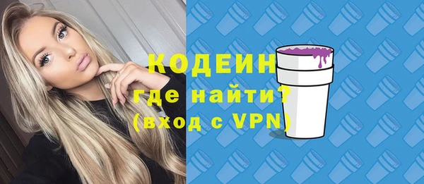 твердый Бородино