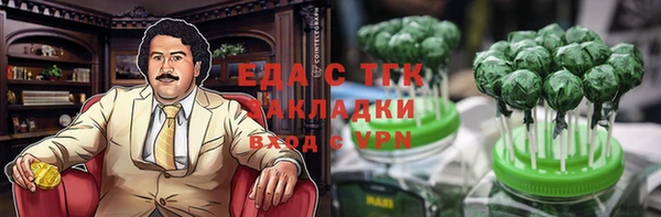 стаф Богданович