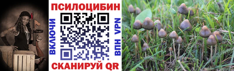 Галлюциногенные грибы ЛСД  hydra онион  Тобольск 